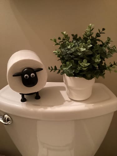 Customer photo review of Mon petit mouton farceur®