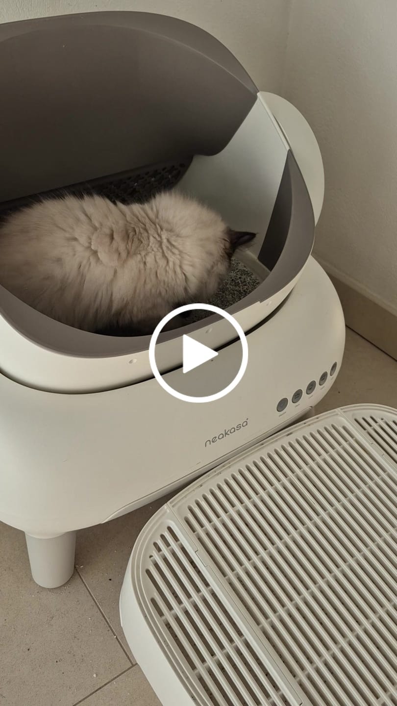 Customer video review of Neakasa M1 Lite Plus Automatische Katzentoilette – Verbesserte Version