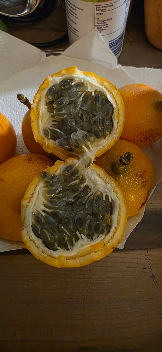 Customer photo review of Süße Granadilla Sparpreis-Box