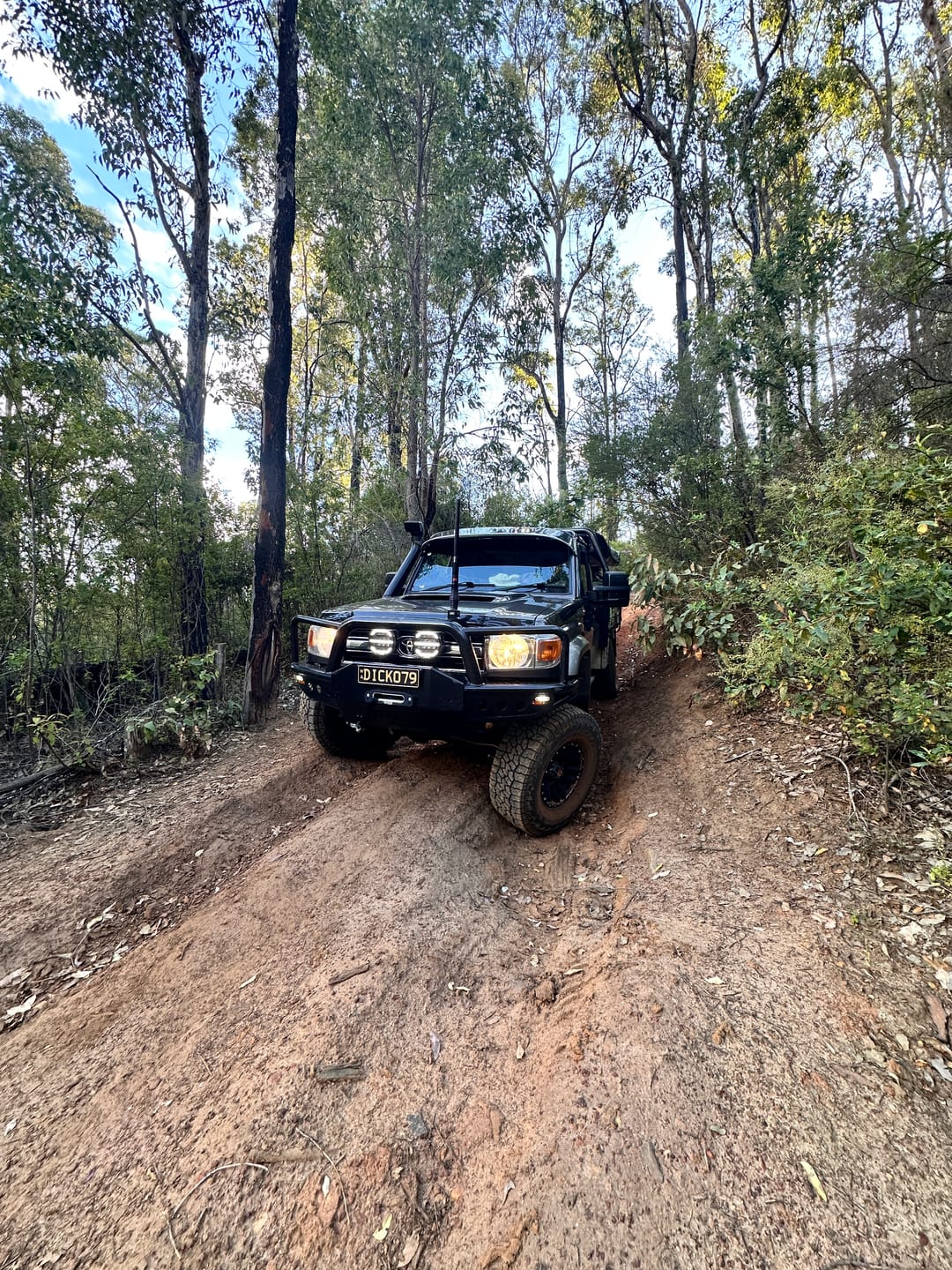 Customer photo review of Covert 7 Inch LED Driving Lights (PAIR W/HARNESS)