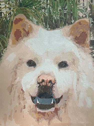Customer photo review of Custom Pet Paint By Numbers