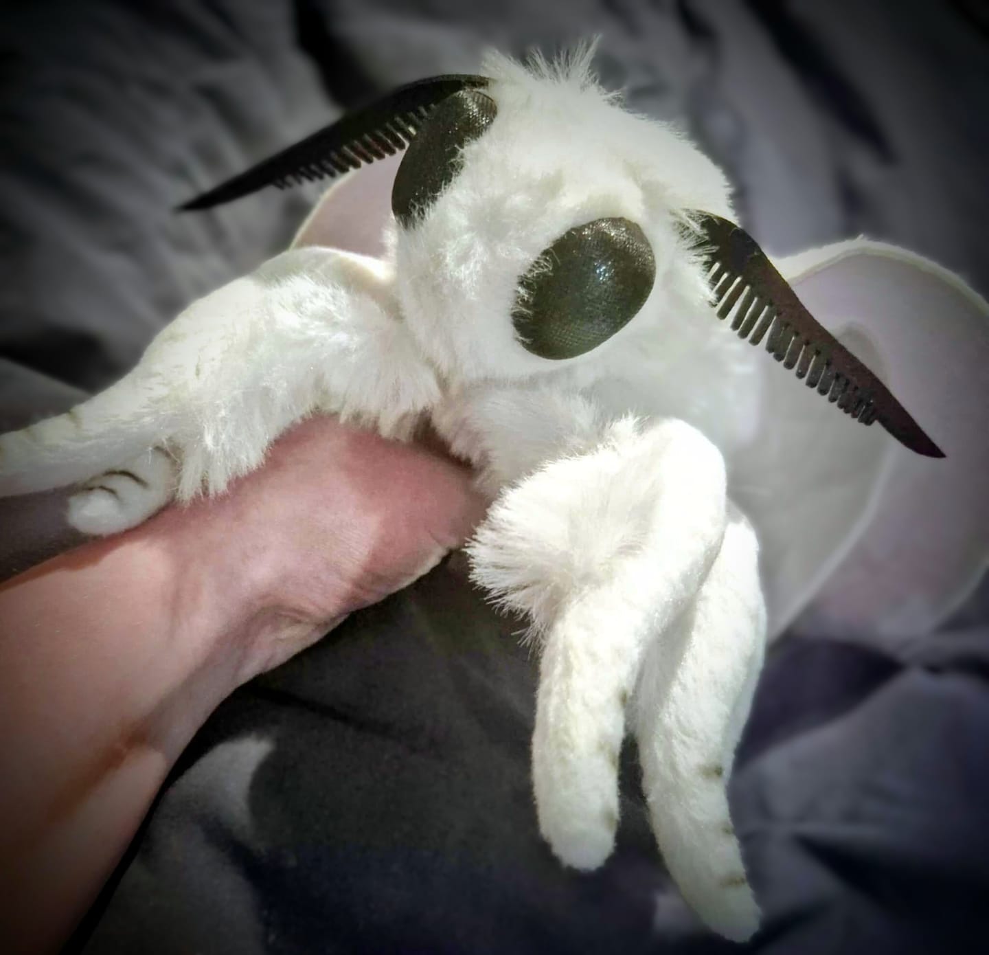 Customer photo review of Fall Webworm Moth Soft Stuffed Plush Toy