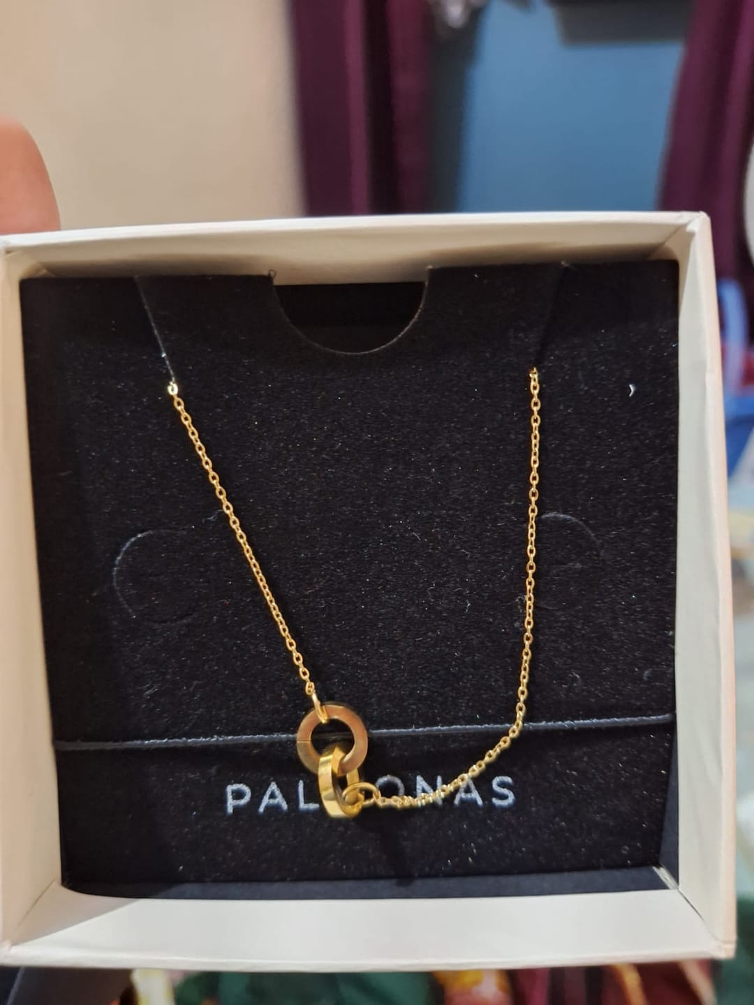 Customer photo review of Linked Circles Harmony Necklace
