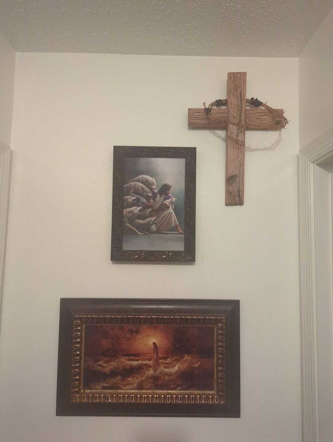 Customer photo review of Jesus Protects The Lamb From Wolves Wall Art Canvas