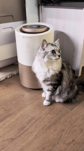 Customer photo review of Pet Air Purifier