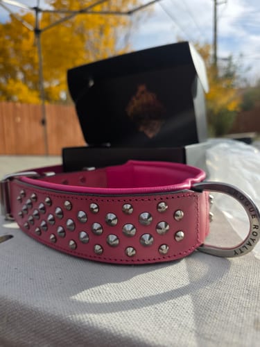Customer photo review of Hand Made Leather Dog Collar - RuffNeck Pink & Chrome (Wide Fit)