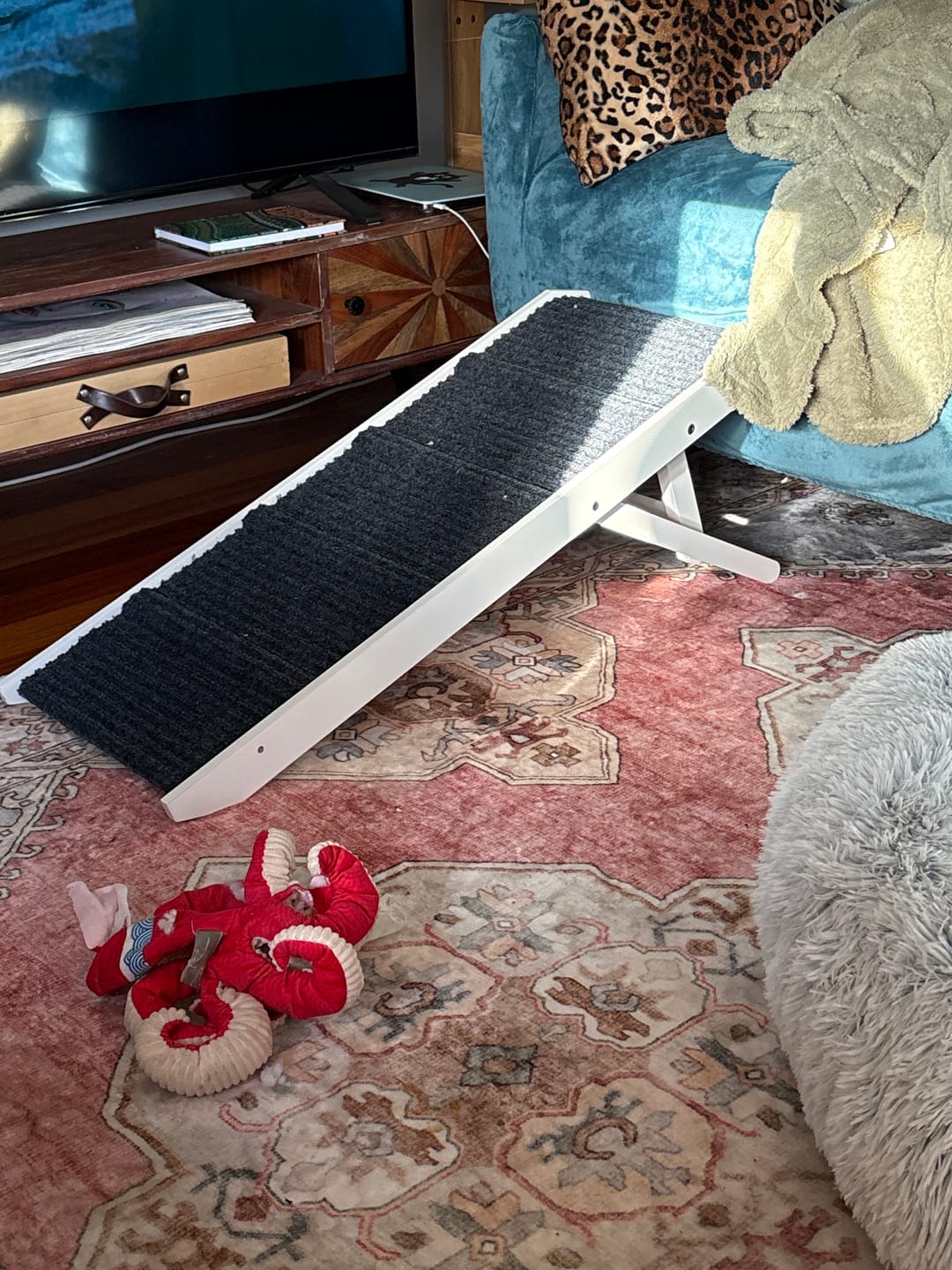 Customer photo review of Adjustable Height Dog Ramp