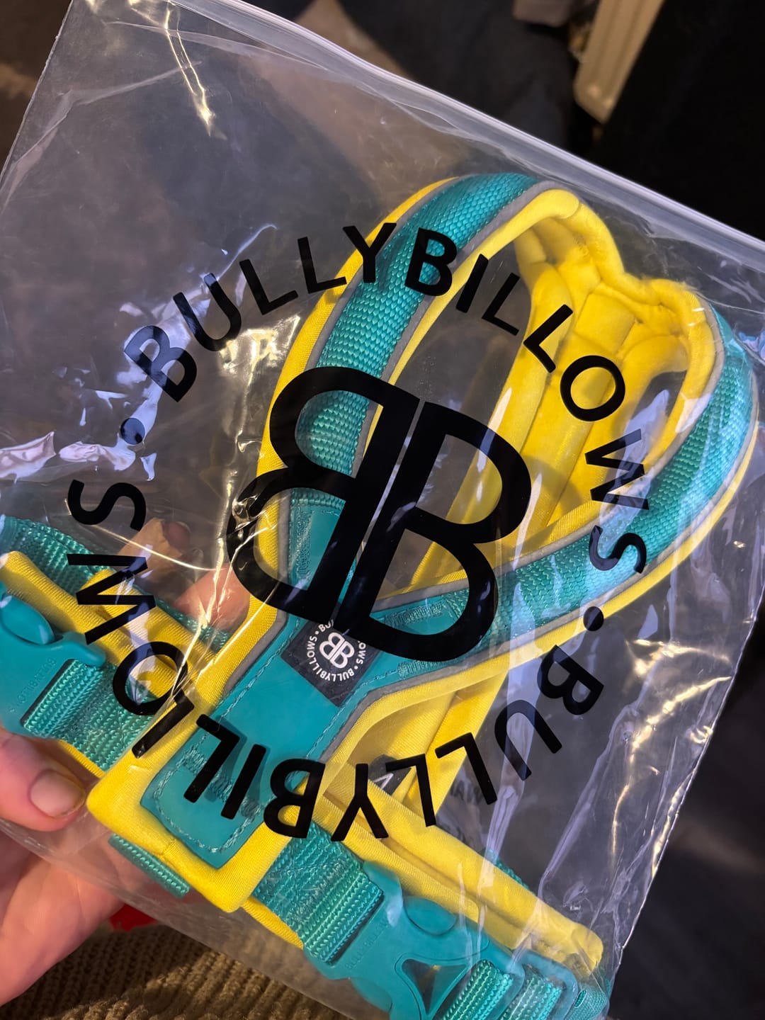 Customer photo review of Slip on Harness | Foam Padded - Turquoise x Yellow