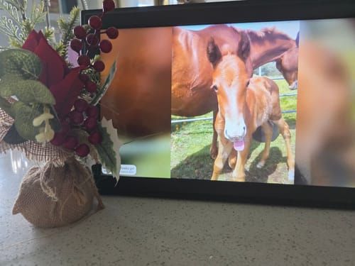 Customer photo review of Digital Photo Frame