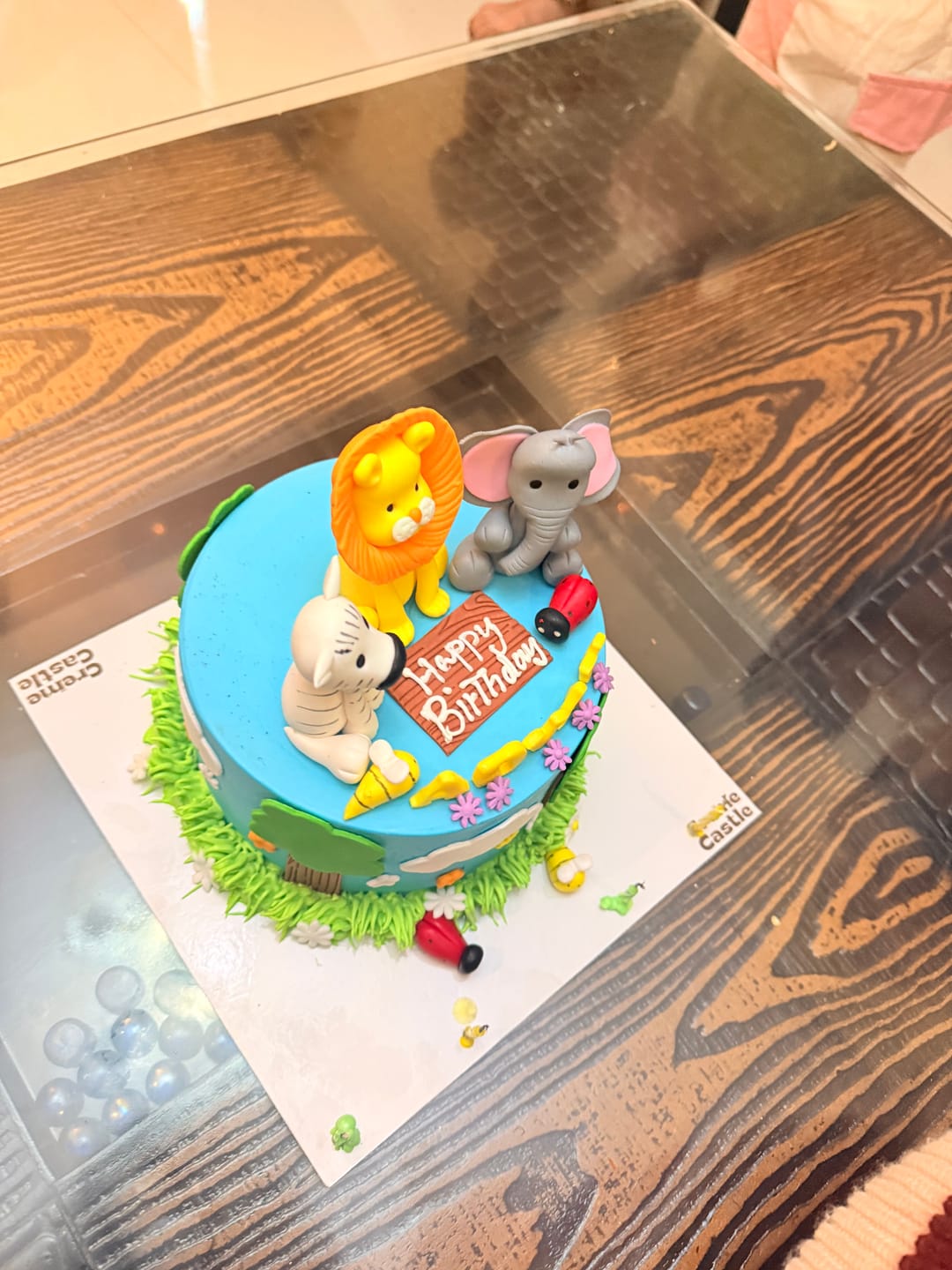 Customer photo review of Jungle Theme Cake for Kids