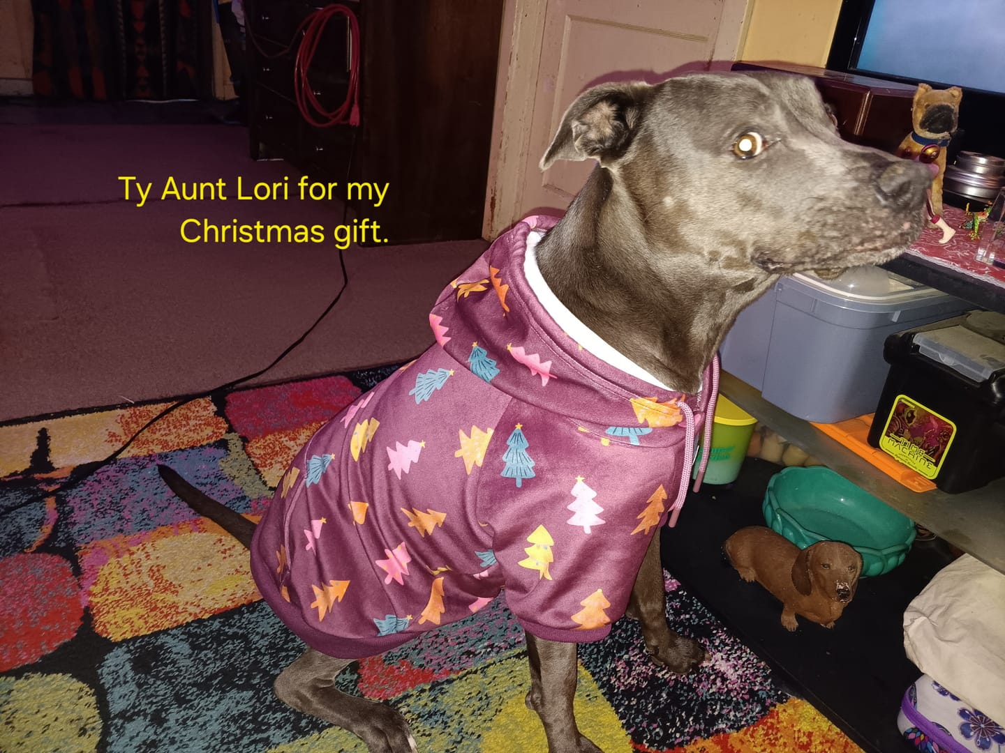 Customer photo review of Christmas Dog Hoodie - Candy Trees