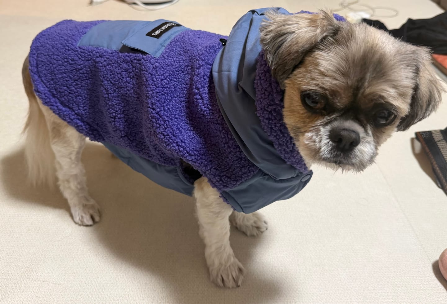 Customer photo review of Reversible Sherpa Jacket - Purple and Blue