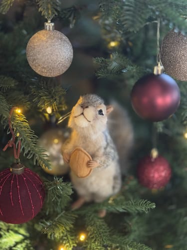 Customer photo review of Ekorn Kosedyr Grå | Hansa Creation