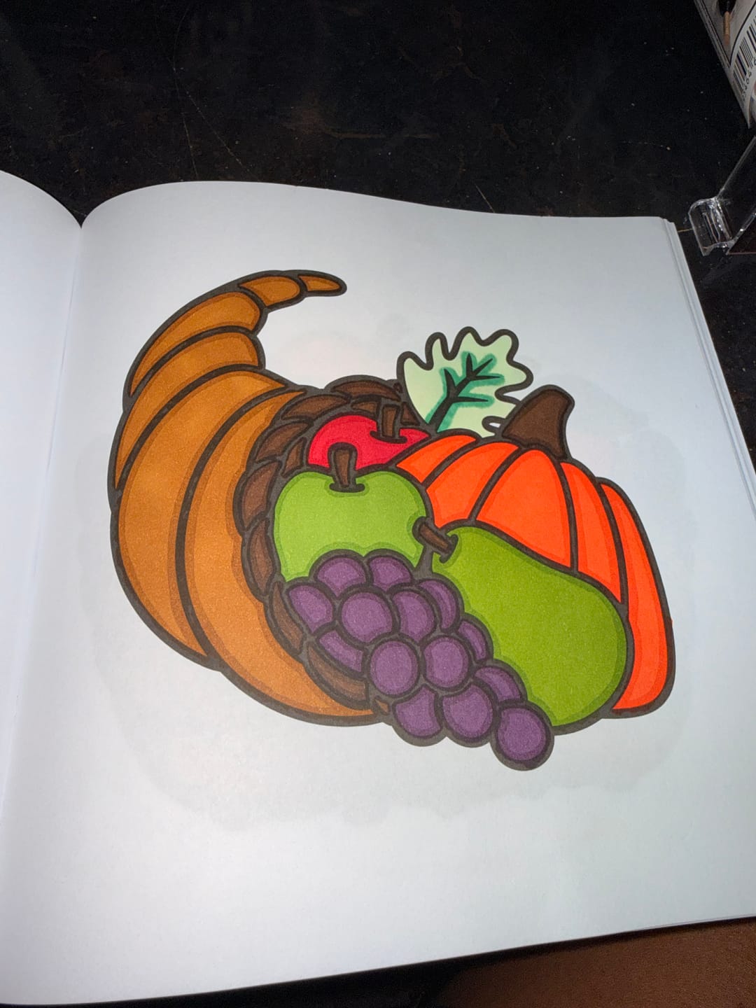 Customer photo review of Cozy Fall Dayz Coloring Book & Reusable Protective Sheet
