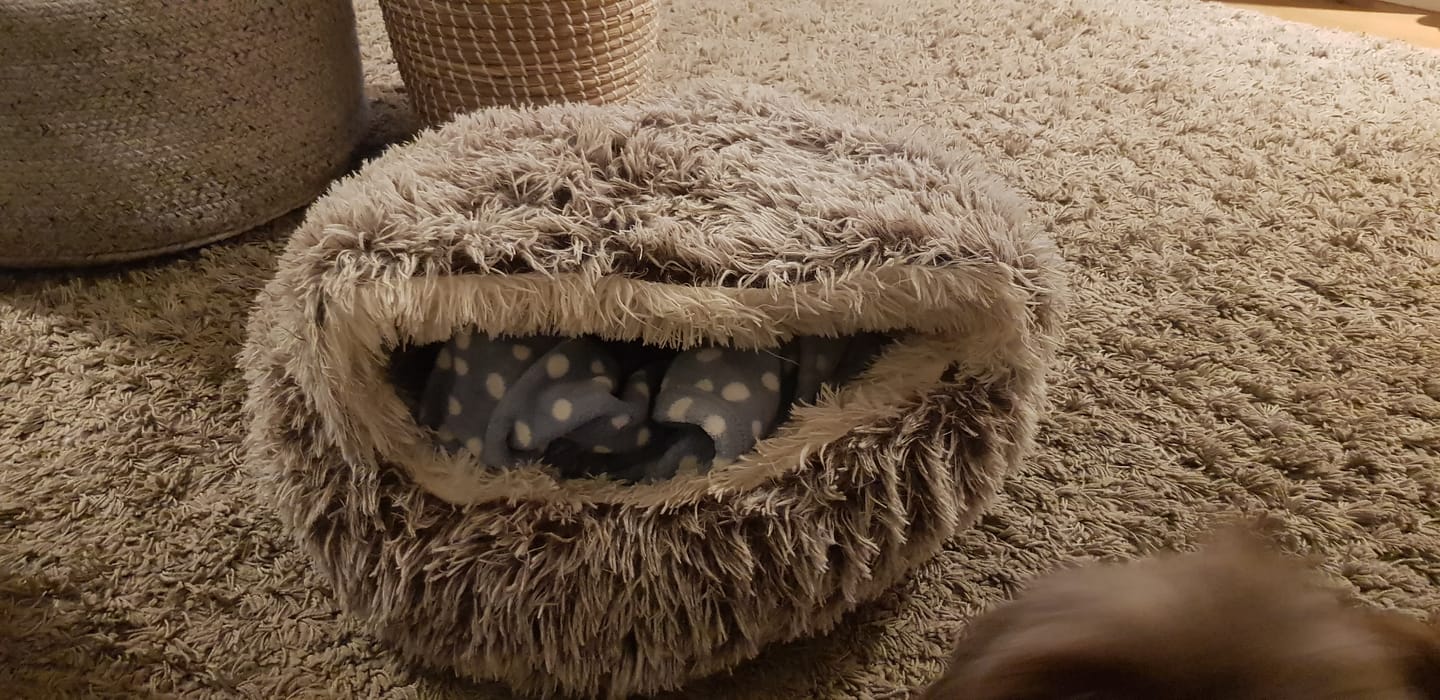 Customer photo review of Burrow Buddy™ - Pet Bed