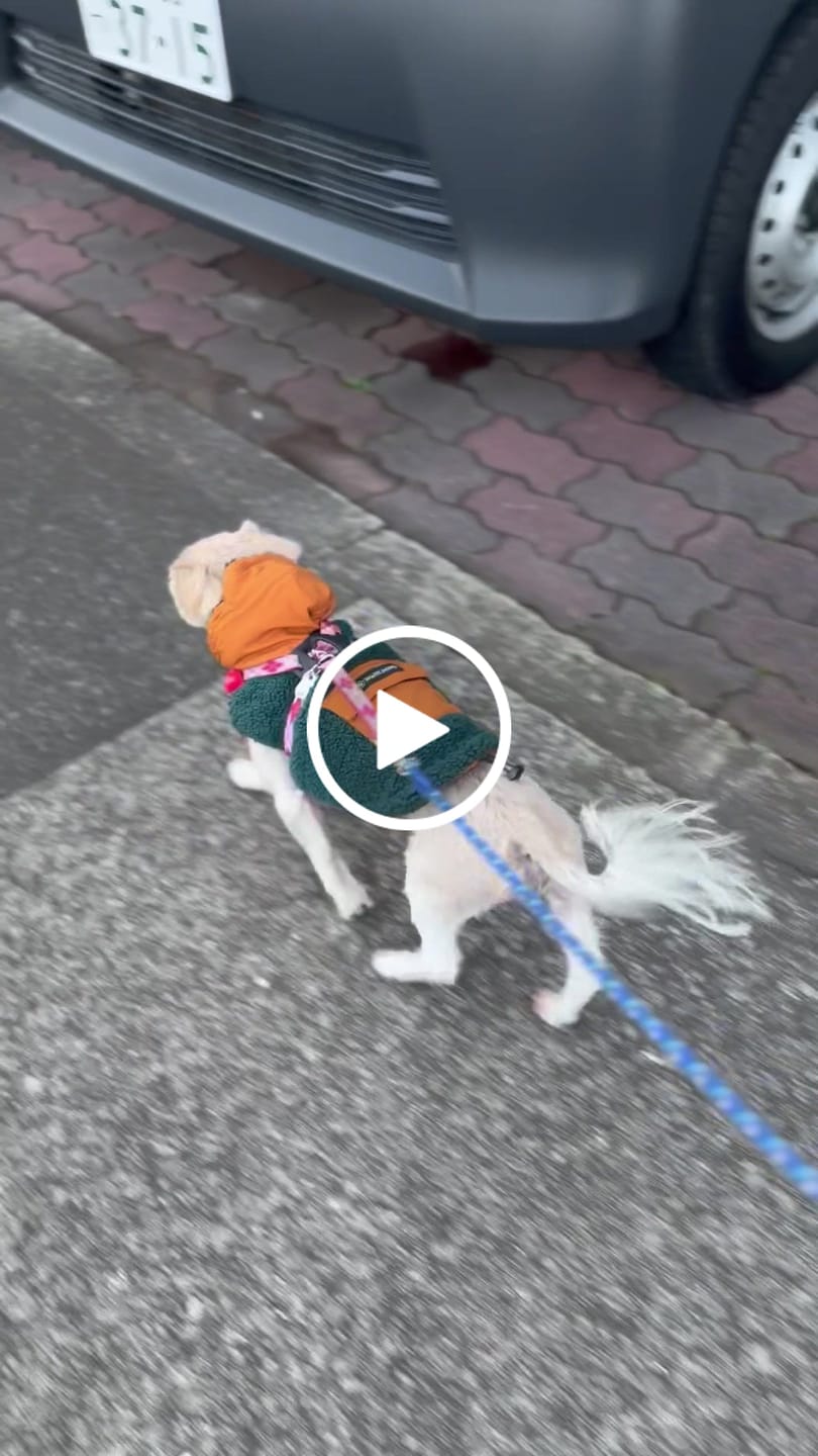 Customer video review of Reversible Jacket - Green and Orange