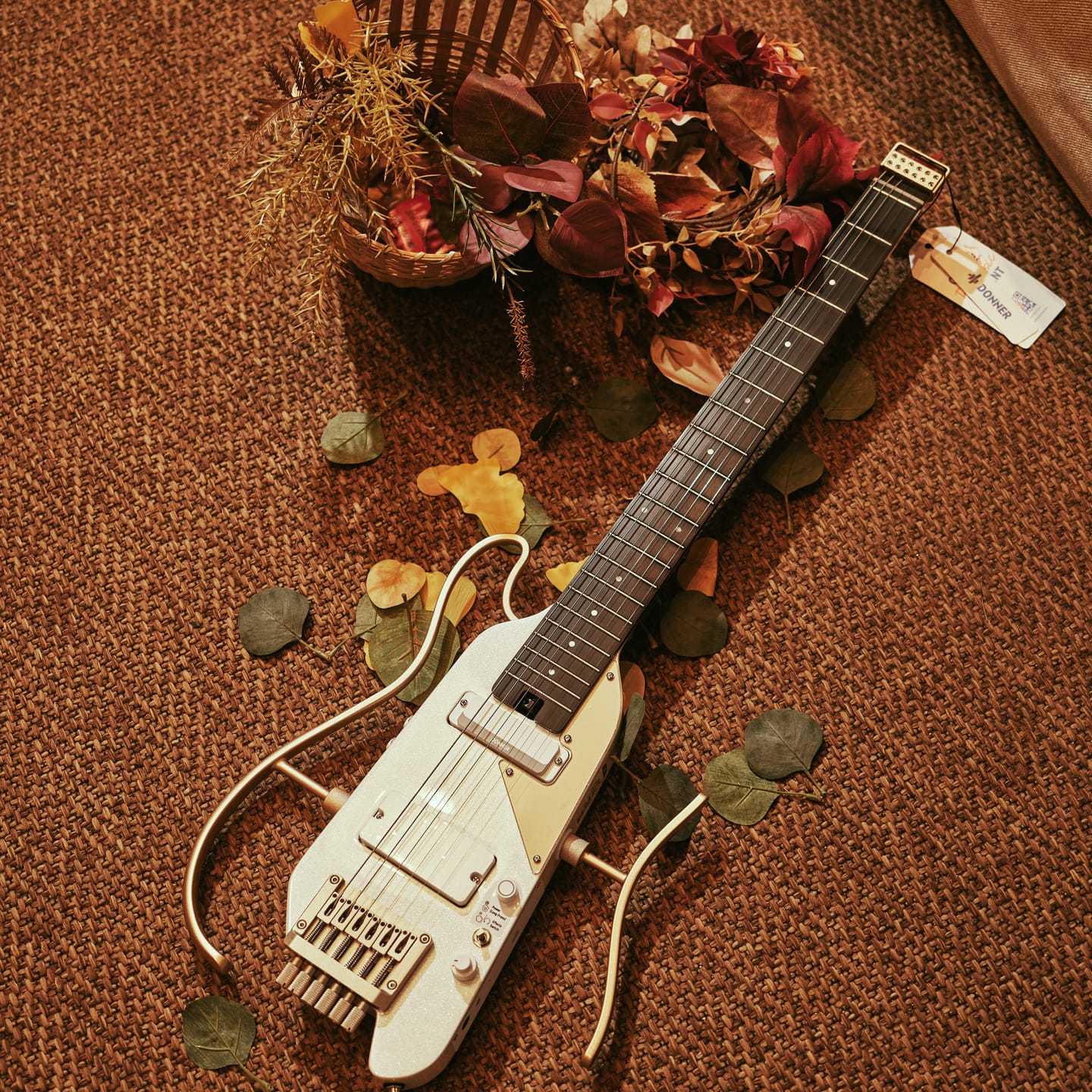 Customer photo review of Donner HUSH™ X PRO Guitare Électrique