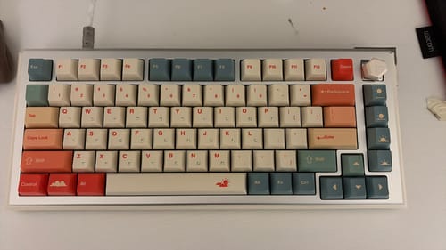 T. N. review of A75 Ultra HE Magnetic Switch Keyboard- The key to be ace image 1 out of 1