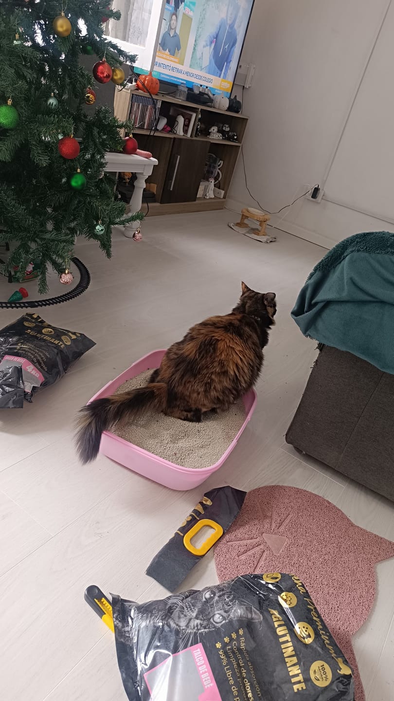 Customer photo review of Arena Minino Aglutinante 40kg + 4kg Regalo