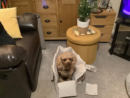 Customer photo review of Hazelnut┃The Puffer Carrier