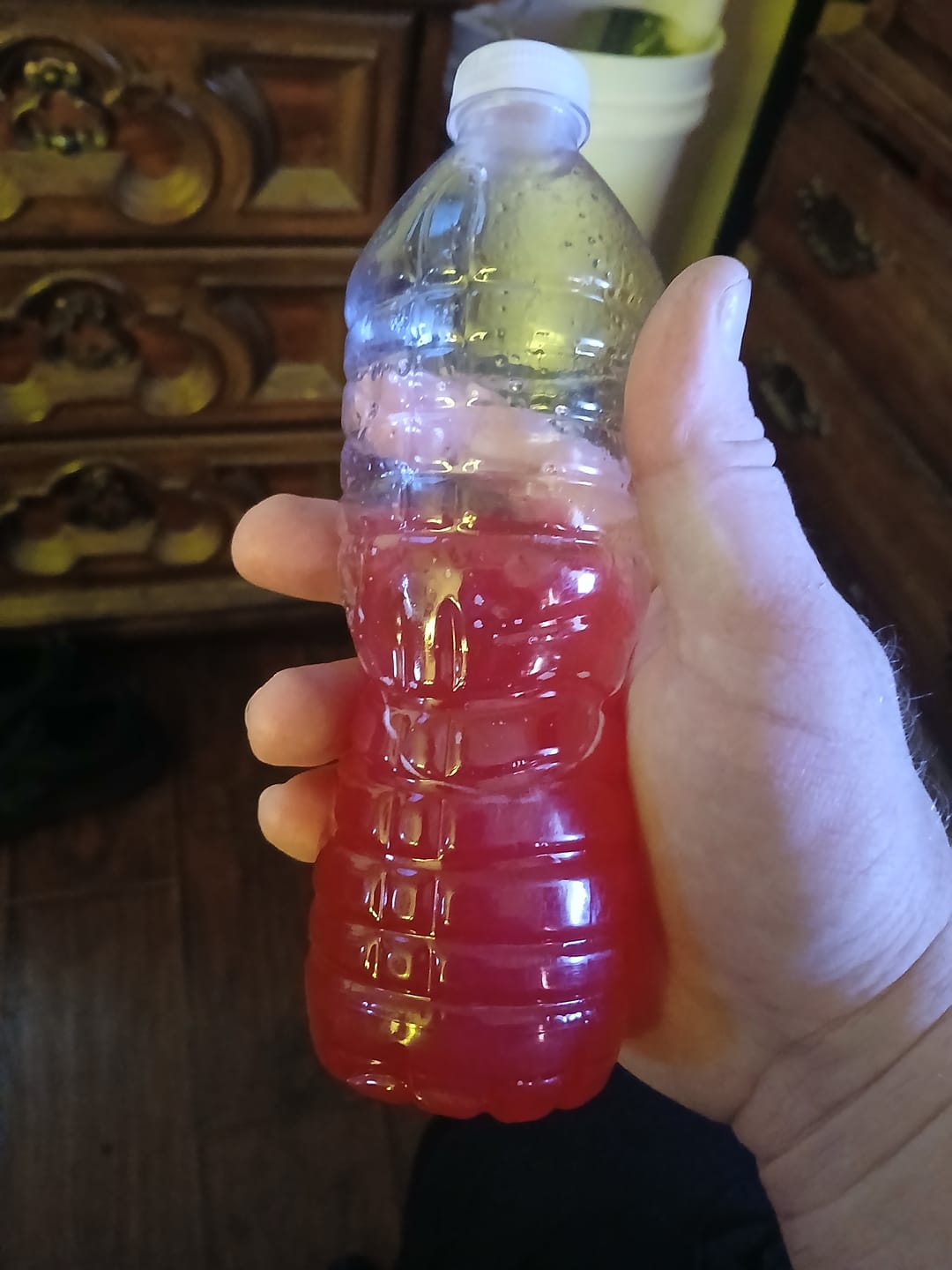 Customer photo review of Shinergy Daytime Drink