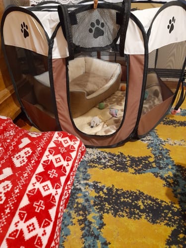 Customer photo review of Hordozható Kutya Kennel és Kisállat járóka