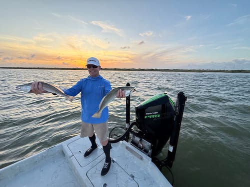 Customer photo review of Waterloo Salinity