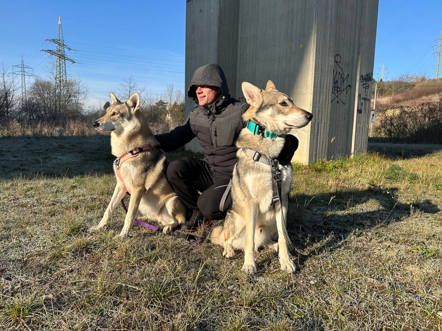 Customer photo review of Training Anti Pull TRI-Harness® | M-XL Breeds - Metal Grey