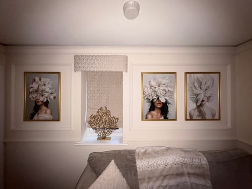 Customer photo review of Plumage Set of 3 Prints