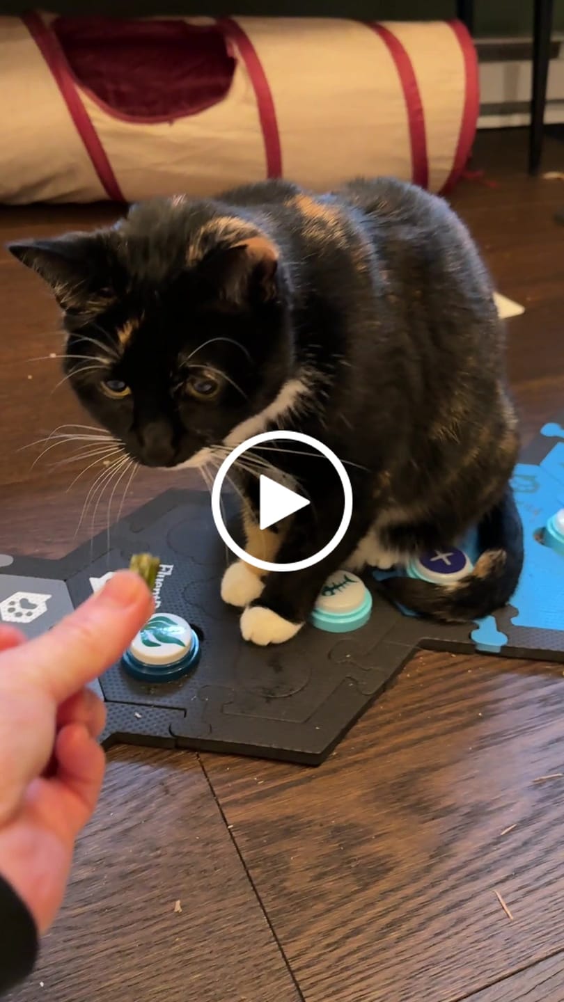 Customer video review of Connect 12-Button Expansion Kit Bold