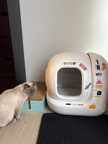 Customer photo review of Fit Litter