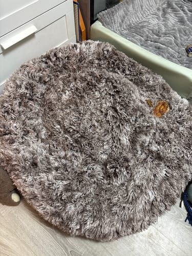 Customer photo review of Hundebett - Katzenbett rund Wuscheldonut