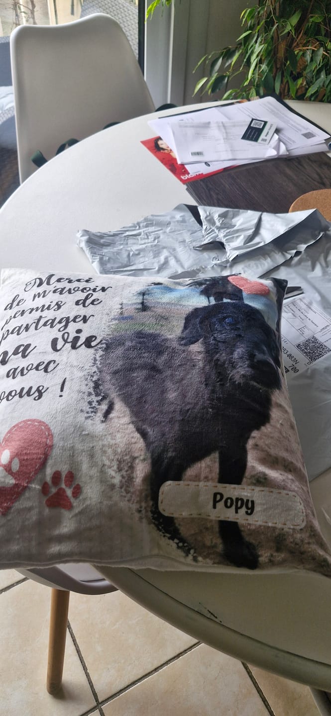 Customer photo review of Merci - Coussin personnalisé
