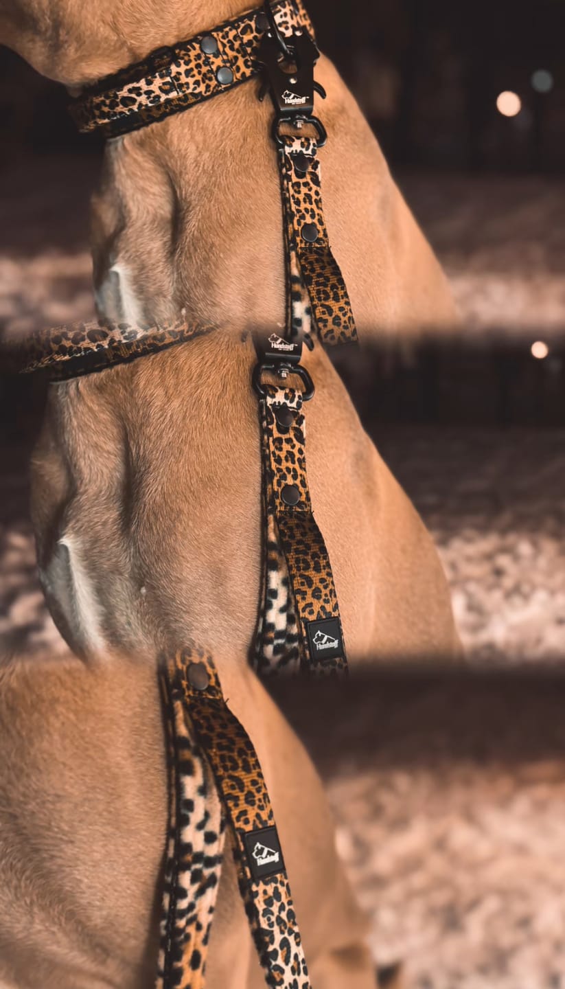 Customer photo review of Smycz nylonowa Walk Leash Leopard