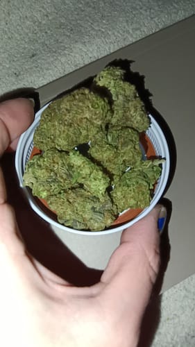 Customer photo review of UK Cheese THCA Flower