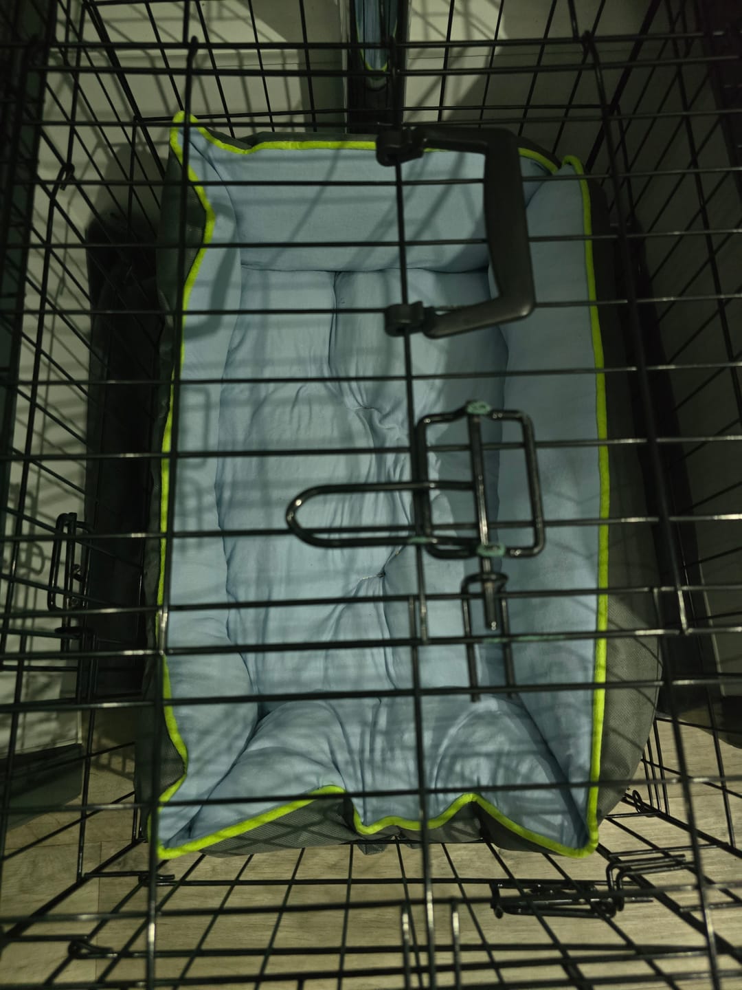 Customer photo review of Pet Cooling Sofa Bed