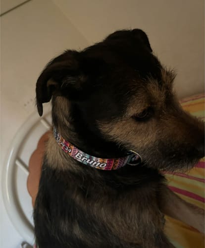 Customer photo review of Placa: Tribal