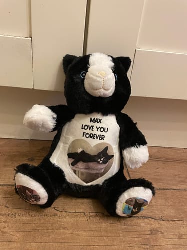 Customer photo review of Design a Personalised Cat Teddy – Add Your Photo, Name or Message