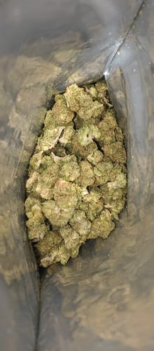 Customer photo review of Bubba Kush Smalls (Oz)