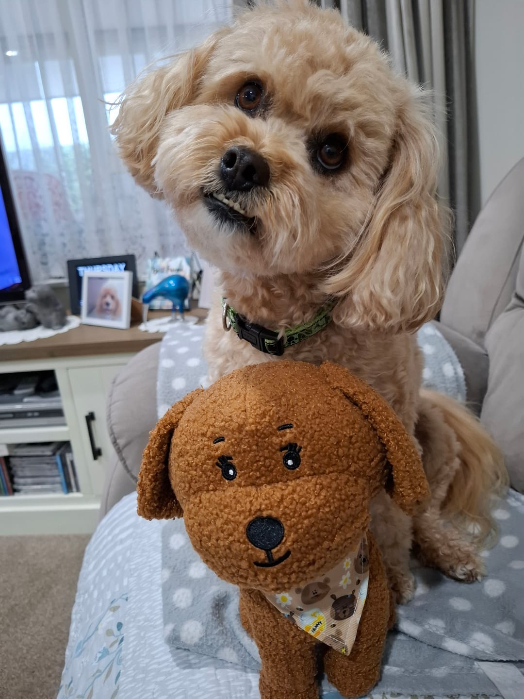 Customer photo review of Toy Lilo Plushie