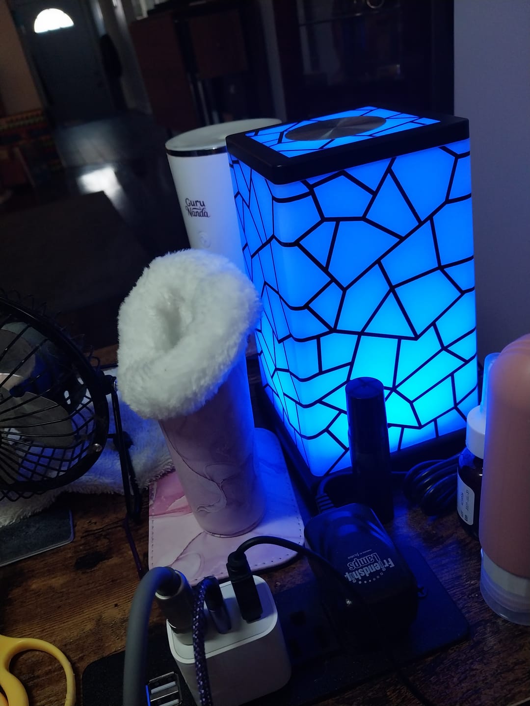 Customer photo review of Replacement Lamp