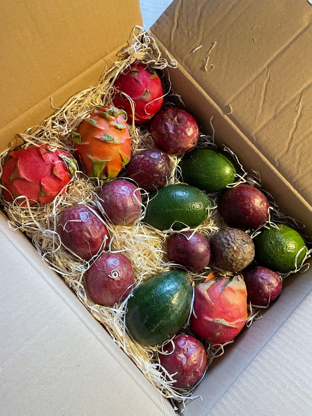 Customer photo review of Drachenfrüchte & Passionsfrüchte Duo Box