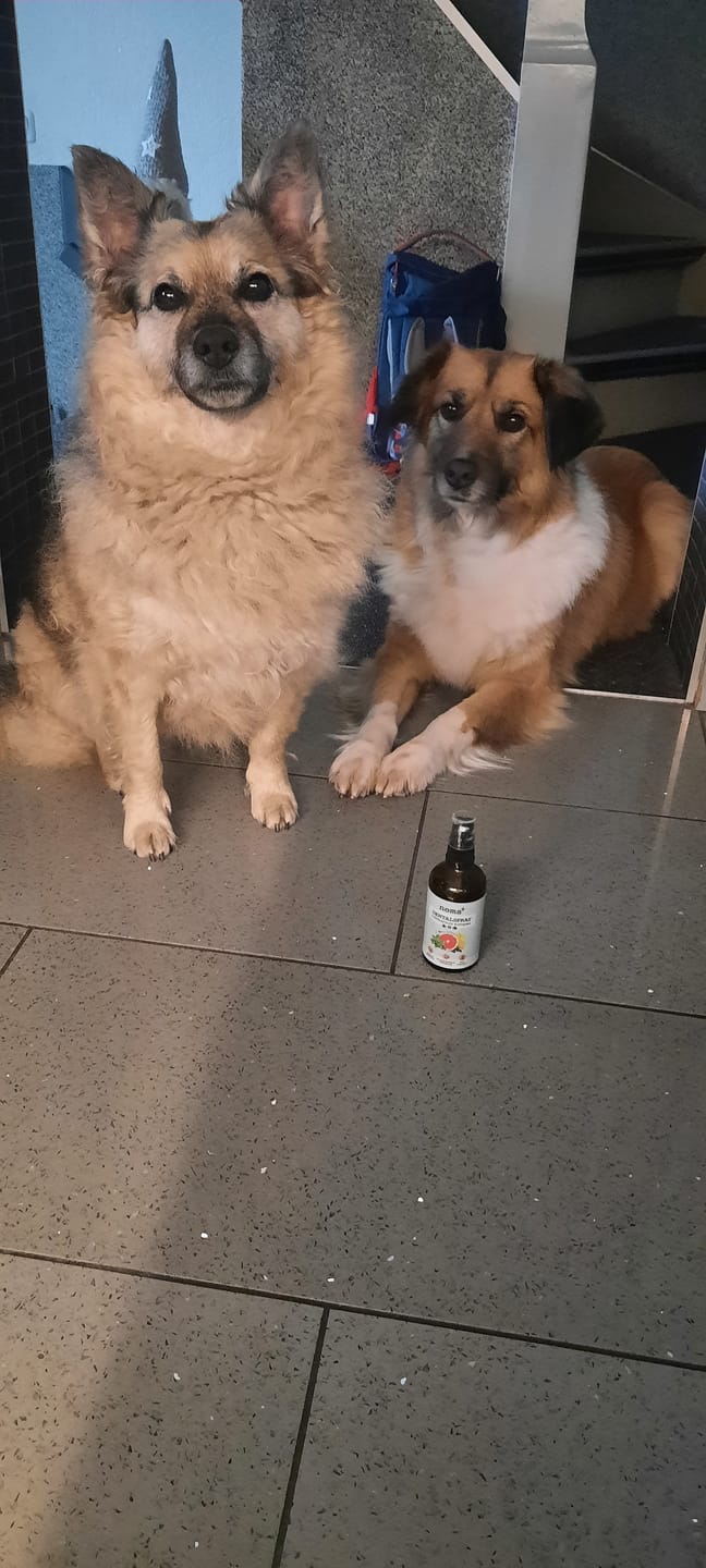 Customer photo review of Dentalspray bei Zahnstein für Hunde und Katzen [Jahresvorrat]