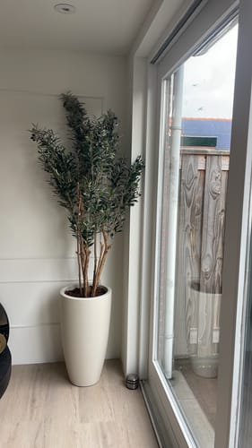 Customer photo review of Kunst Olijfboom 180cm