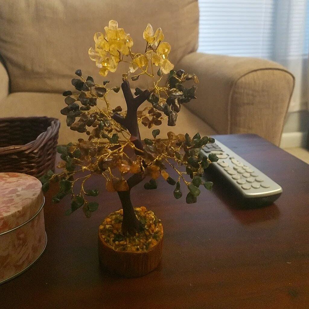 Customer photo review of Premium Money Magnet Vastu Tree (600 Beads, 12 Inch) for Financial Abundance, Luck, and Business Success | North Zone Vastu Crystal Tree By Vastu Mandir