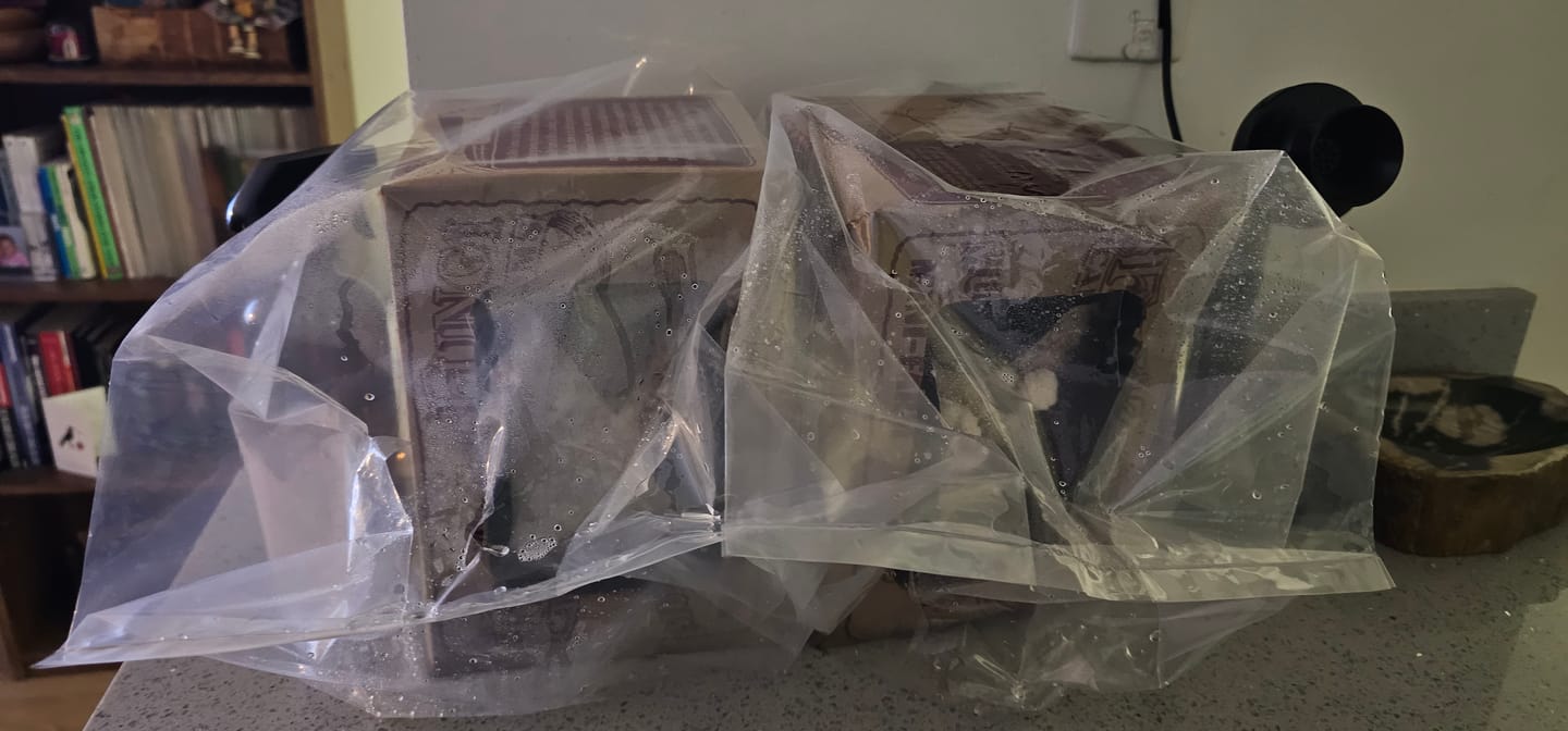 Customer photo review of Lion's Mane Mushroom Mini-Farm Grow Kit