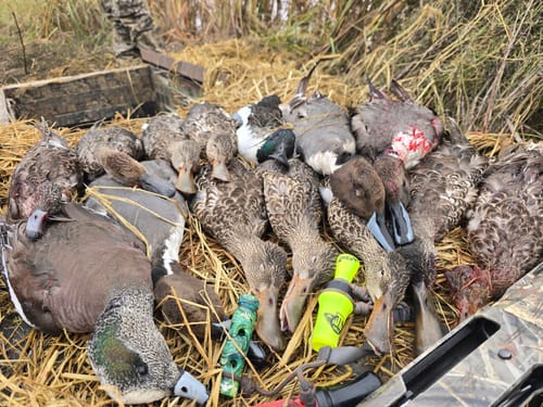 Customer photo review of OMEN Duck Call