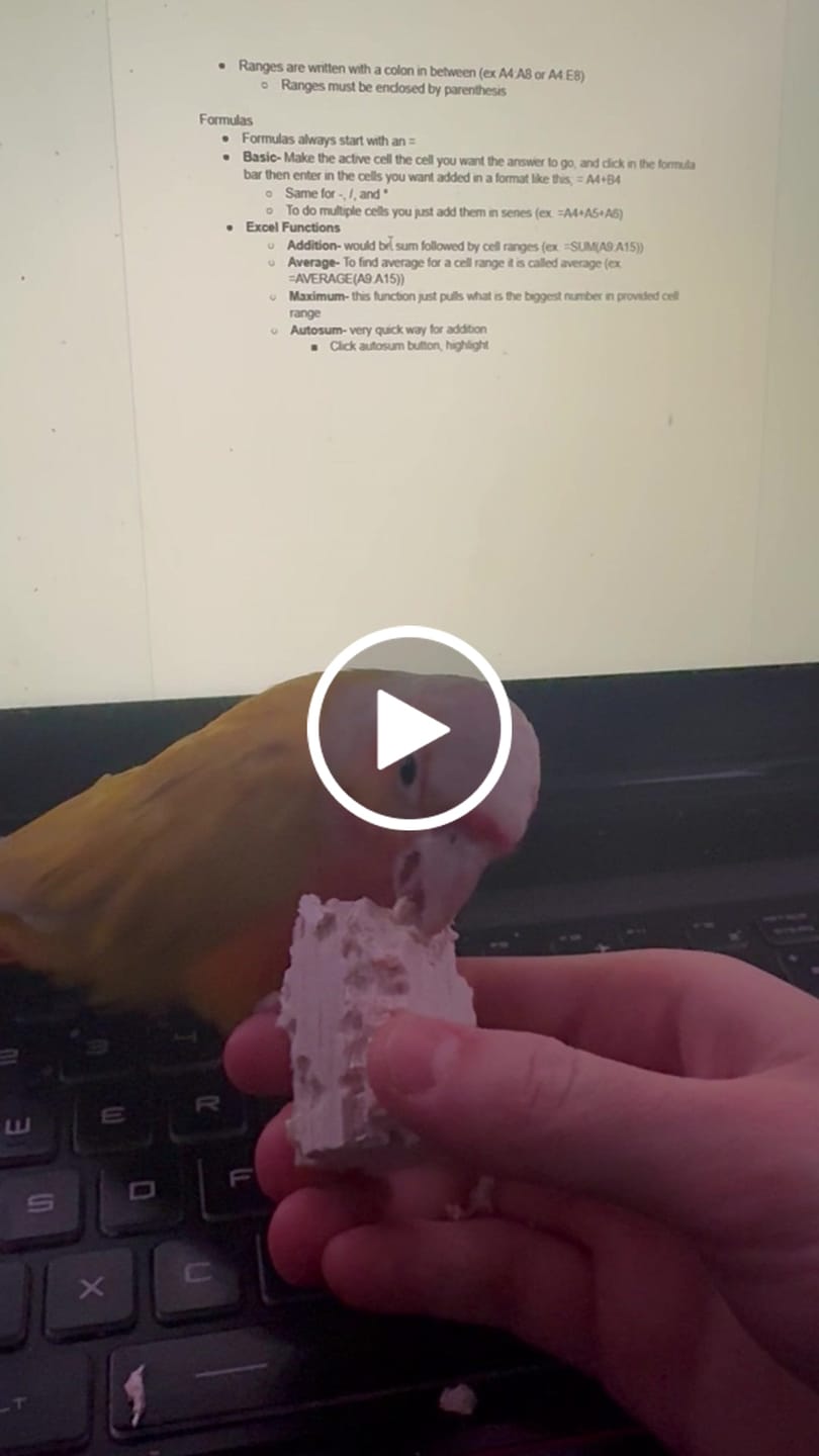 Customer video review of 1" Natural Balsa Cubes - 10 Pack