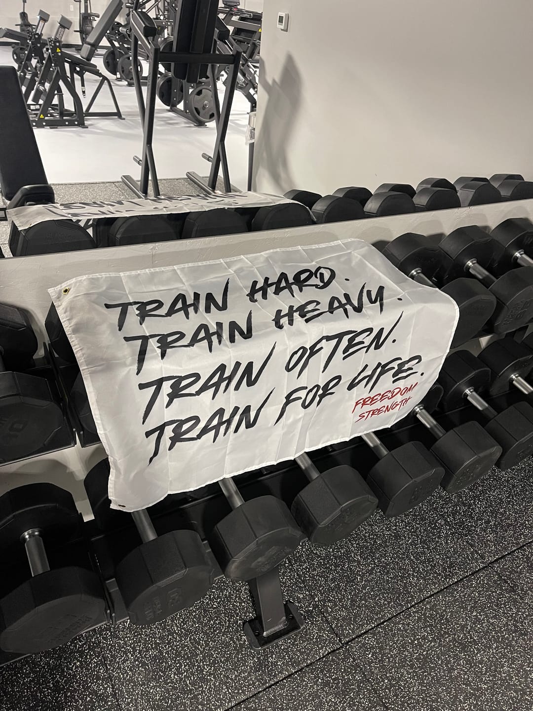 Customer photo review of Train For Life Banner