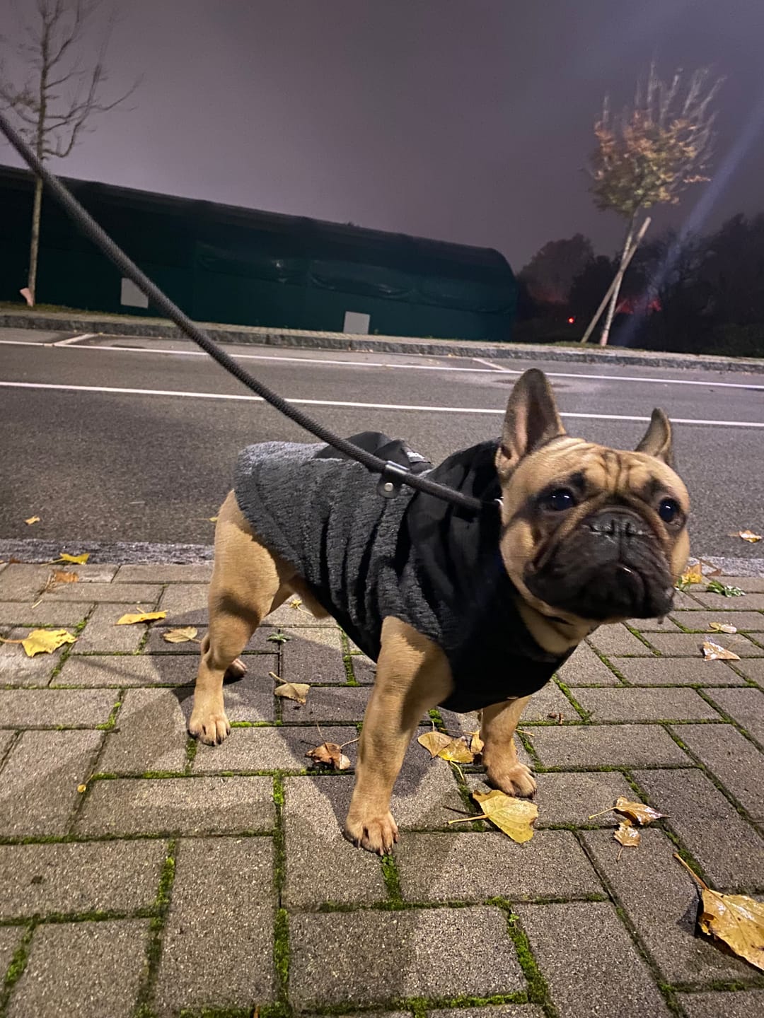 Customer photo review of Reversible Sherpa Jacket - Grey and Black